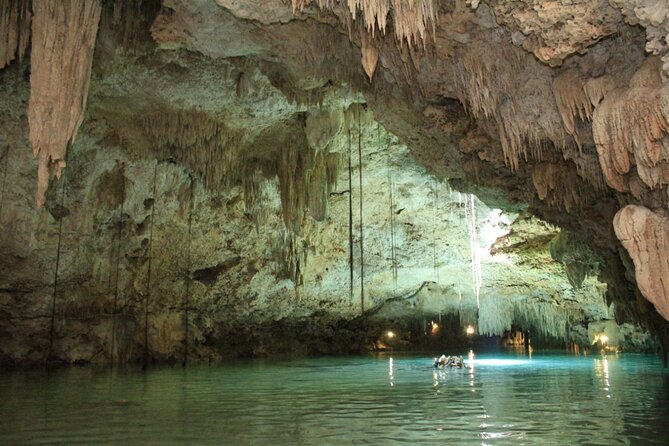 Tulum Jungle Horseback Ride + Cenote Dip & Traditional Lunch - The cenote is the star of the afternoon