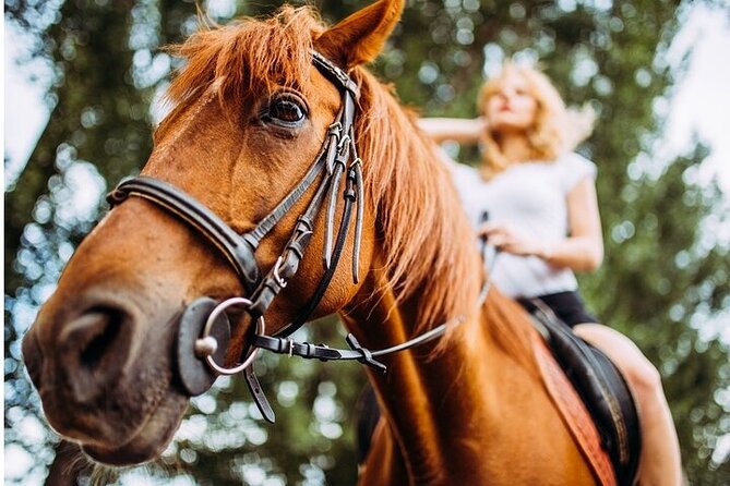 Tulum Jungle Horseback Ride + Cenote Dip & Traditional Lunch - Who should book this Tulum outing?