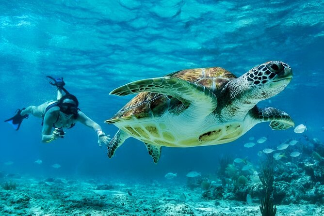 Tulum Mayan Ruins and Snorkeling with Turtles at Akumal - What to pack and what to clarify