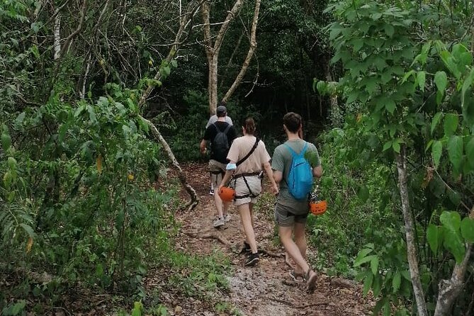Tulum Monkey Sanctuary Tour Punta Laguna - Walking Under Spider Monkeys