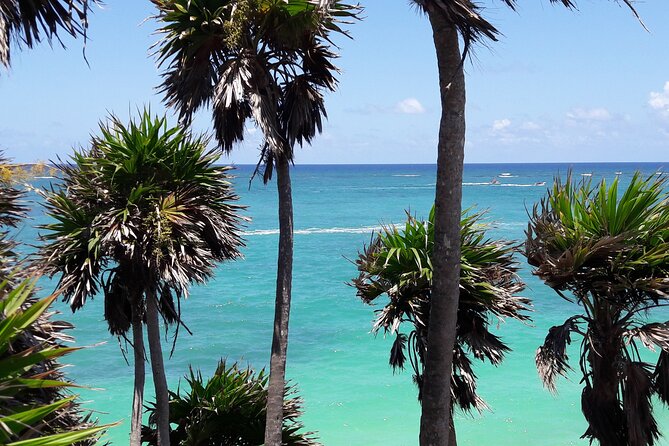 Tulum Private Boat Tour & Turtle Snorkeling Experience - Weather can reshape the experience