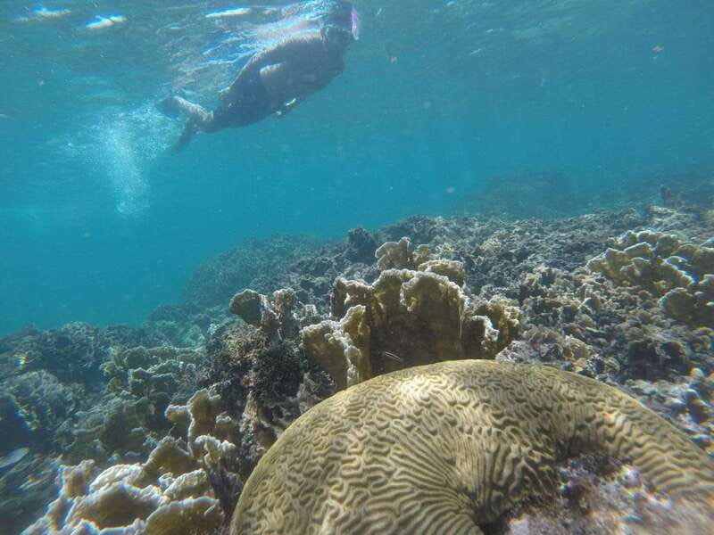 Tulum: Private Snorkel and Sailing Experience - Key points to know before you book