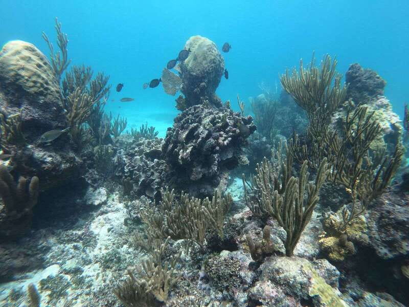 Tulum: Private Snorkel and Sailing Experience - Why the sea view changes your Tulum visit