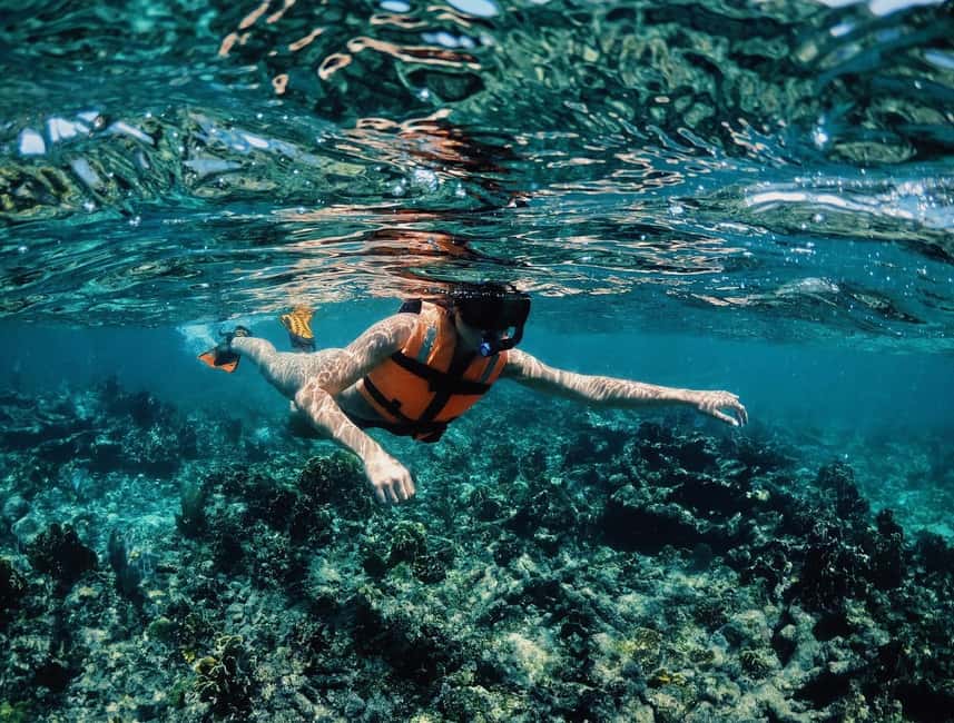 Tulum: Private Snorkel and Sailing Experience - What the $80 price really covers