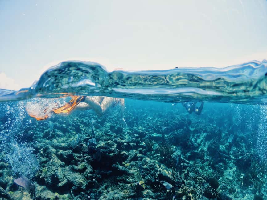 Tulum: Private Snorkel and Sailing Experience - Who will enjoy this private sailing trip
