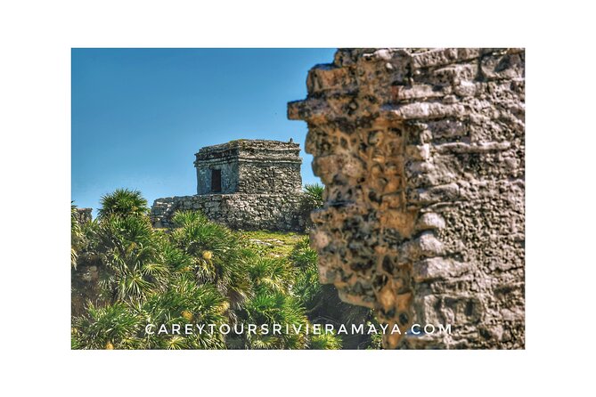 Tulum Ruins and Cenote Taak-bi-ha Private Tour - Cenote Taak-bi-ha in Dos Ojos Park