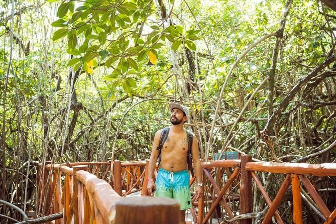 Tulum Ruins & Casa Tortuga Eco Tour! 4 Cenotes from Tulum City - Casa Tortuga and its four cenotes