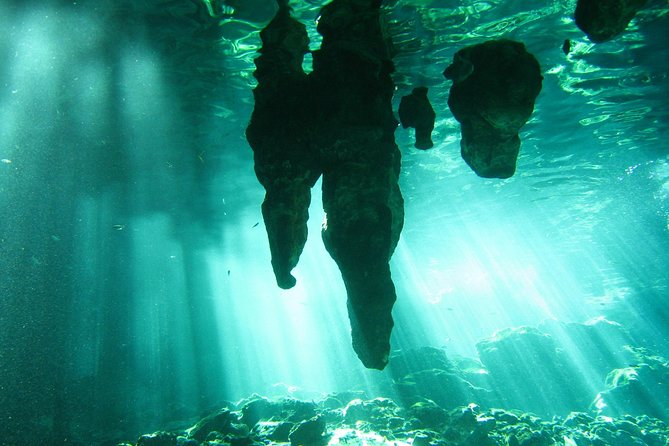 Tulum Ruins & Cenote guided private tour from Tulum and Riviera Maya. - Private transportation and a more relaxed pace