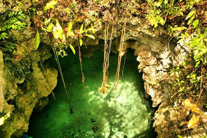 Tulum Ruins & Cenote guided private tour from Tulum and Riviera Maya. - Pickup fees from Riviera Maya hotels