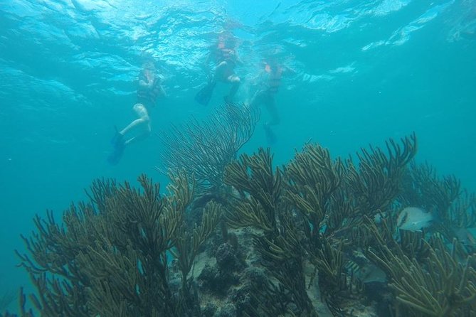 Tulum ruins swim with turtles in Akumal and Cenote - Cenote Caracol is the strongest reason to choose this route