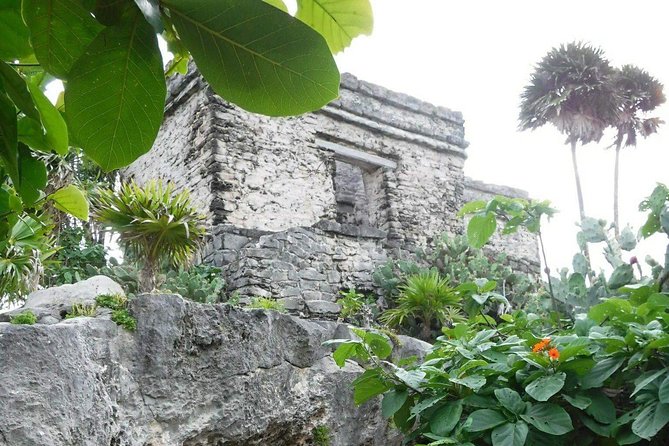 Tulum Ruins Tour (Private, Half Day) - The value of $169 per person