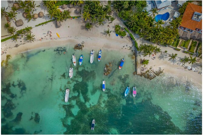 Tulum Ruins, Turtles in Akumal and Cenote tour - Key points to know before booking