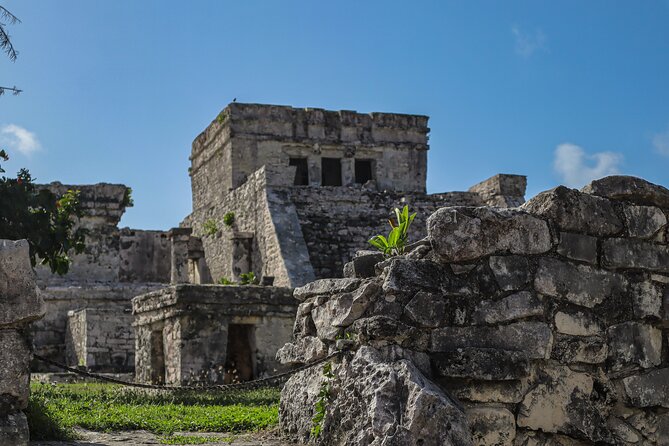 Tulum Ruins, Turtles in Akumal and Cenote tour - Akumal: turtles, rays, and a busy sea