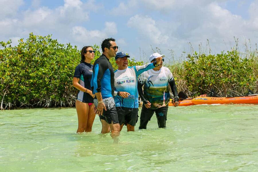 Tulum: Sian Ka'an Biosphere Reserve Kayak Tour - What makes this half-day trip special