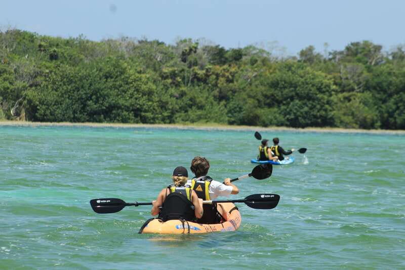 Tulum: Sian Ka'an Biosphere Reserve Kayak Tour - Wildlife: enjoy what appears, not what you expect
