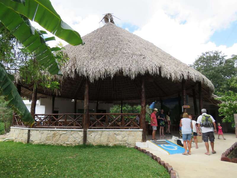 Tulum: Sian Ka'an Biosphere Reserve Kayak Tour - Cost, effort, and who should book