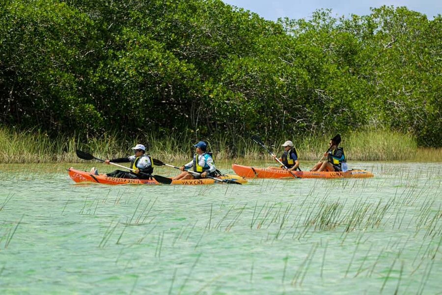 Tulum: Sian Ka'an Biosphere Reserve Kayak Tour - Laguna de Muyil: calm water and open skies