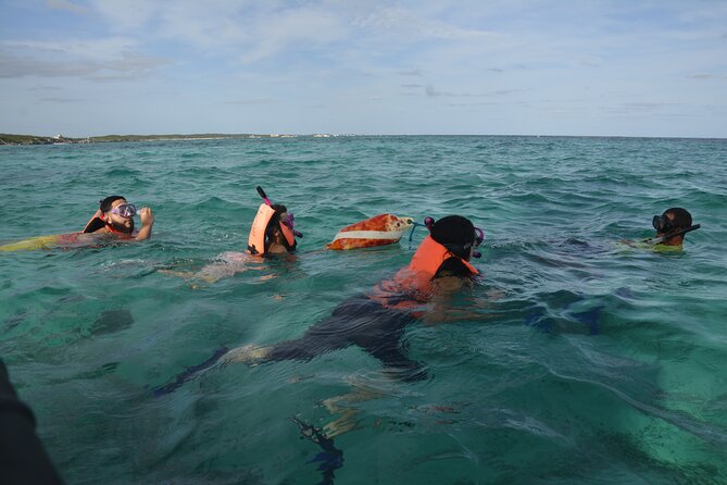 Tulum: Snorkeling and Private Sailing Tour - Private does not mean completely weatherproof