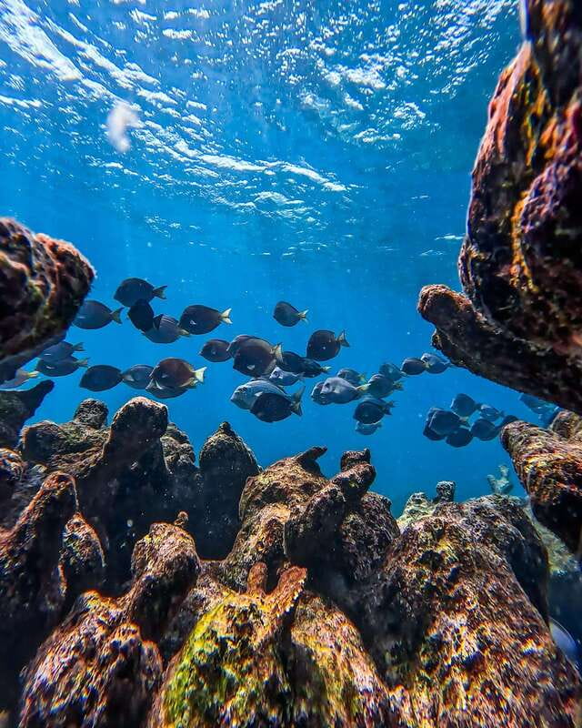 Tulum: Snorkeling at Paradise Reef - A short boat ride and a photo near the ruins