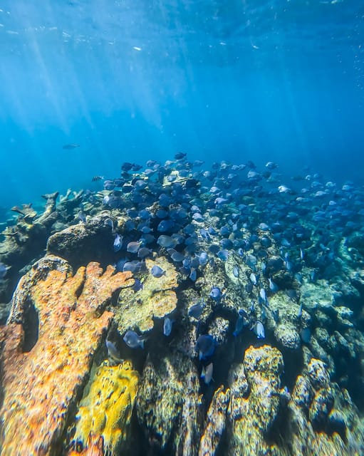 Tulum: Snorkeling at Paradise Reef - What is included, and what still costs extra