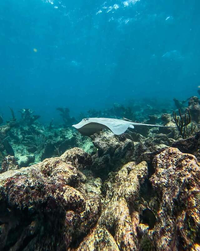 Tulum: Snorkeling at Paradise Reef - Who will like this experience most