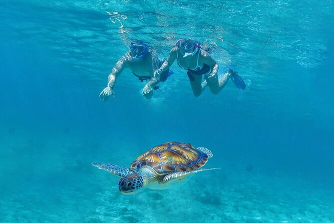 Tulum, Snorkeling with Sea Turtles, Cenote and Beachside Lunch - Tulum ruins above the Caribbean coast