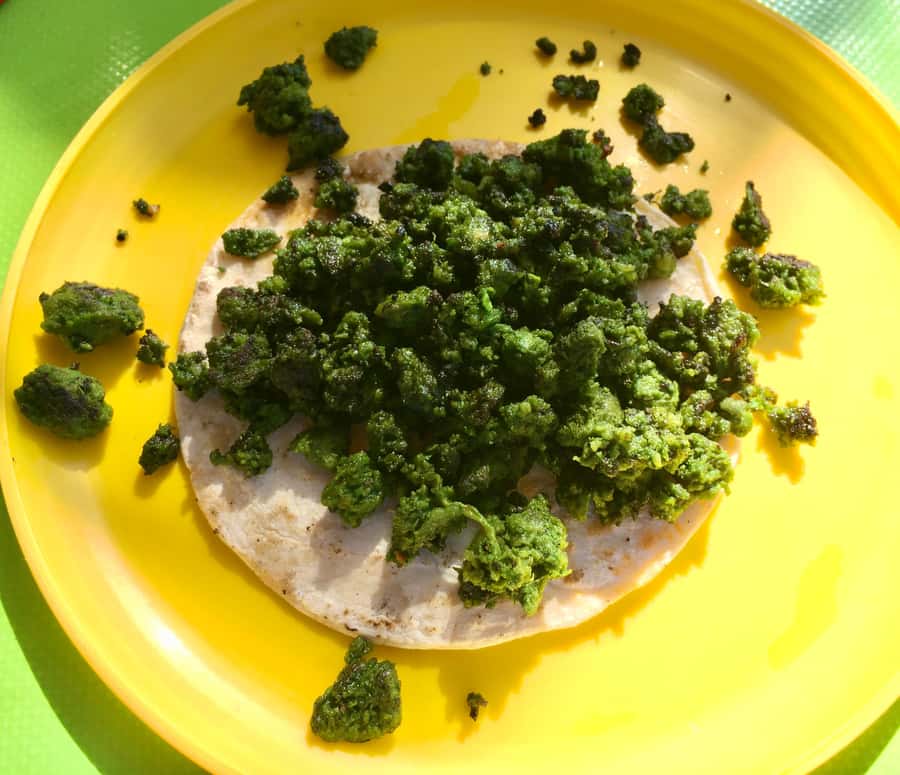 Tulum Taco Tour - A morning route for breakfast or a night route for supper