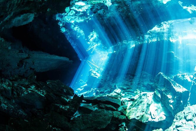 Tulum Turtle Encounter - The Best Private Turtles Snorkel Tour - Who Should Book This Tour?