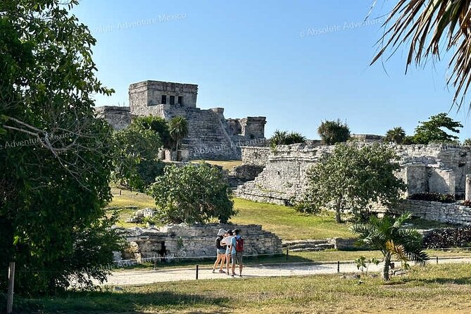 Tulum VIP Private Tour with Sea Turtles & Cenote – Award-Winning - Tulum’s cenote choice: action or calm water