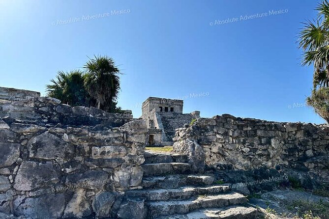 Tulum VIP Private Tour with Sea Turtles & Cenote – Award-Winning - Snorkeling with turtles from Akumal Beach
