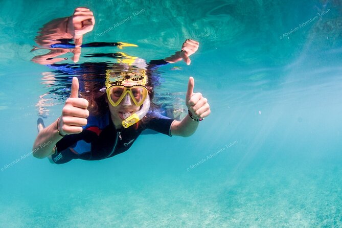 Tulum VIP Private Tour with Sea Turtles & Cenote – Award-Winning - Who will enjoy this private Tulum day