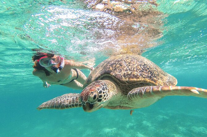 Turtle and Reef Sanctuary Snorkeling - Why Akumal Is the Main Event