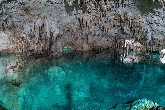 Turtle Encounter Private Tour – Swim with Sea Turtles & Cenote - Akumal’s turtles are the reason to go