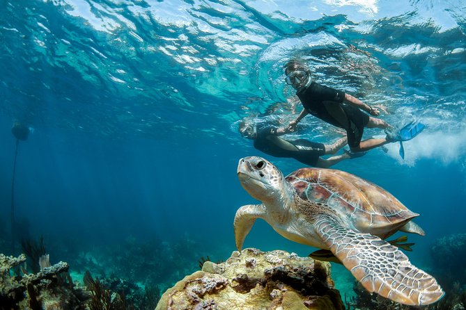 Turtle Encounter Private Tour – Swim with Sea Turtles & Cenote - Choosing between three very different cenotes