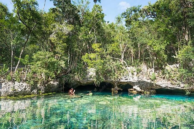 Turtle Encounter Private Tour – Swim with Sea Turtles & Cenote - Who will enjoy this tour most