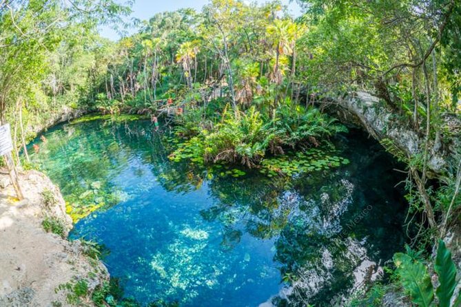 Turtle Encounter Private Tour – Swim with Sea Turtles & Cenote - Why the early pickup is worth it