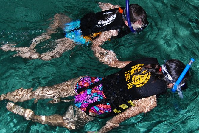 Turtle Snorkeling Adventure from Cancun - The cenote stop: freshwater and limestone formations