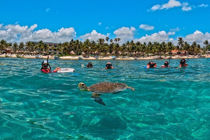 Turtle Snorkeling and Jungle Adventure with Cenote - Akumal Bay and the sea turtle encounter