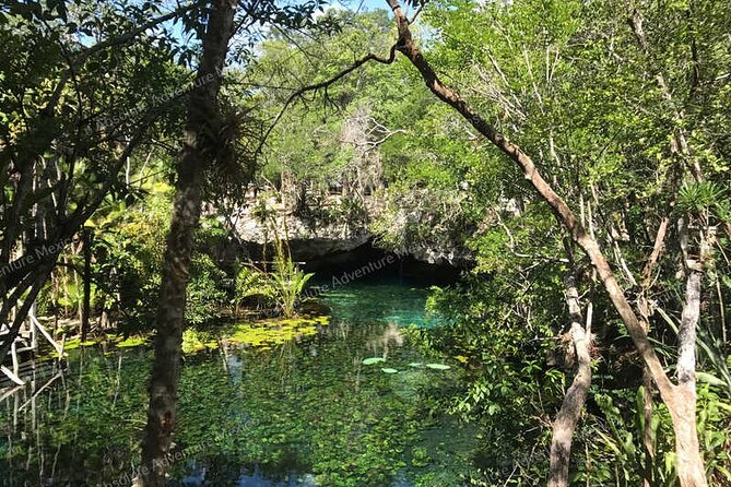 Turtle Snorkeling Private Tour – Sea Turtles & Cenote in Tulum - Why a private vehicle matters