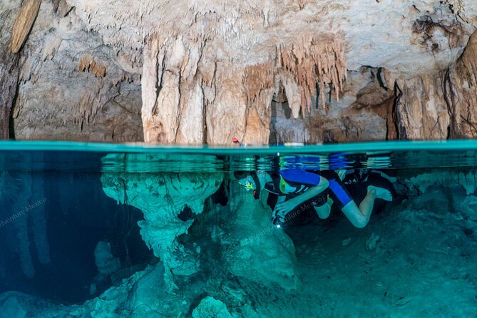 Turtle Snorkeling Private Tour – Sea Turtles & Cenote in Tulum - How much value do you get for $197?