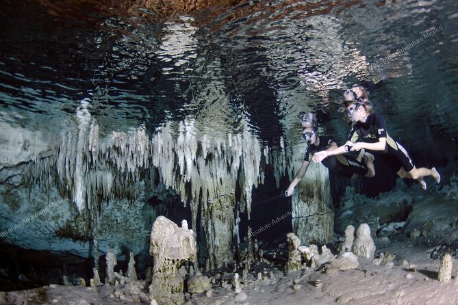 Turtle Snorkeling Private Tour – Sea Turtles & Cenote in Tulum - Who should book this tour?