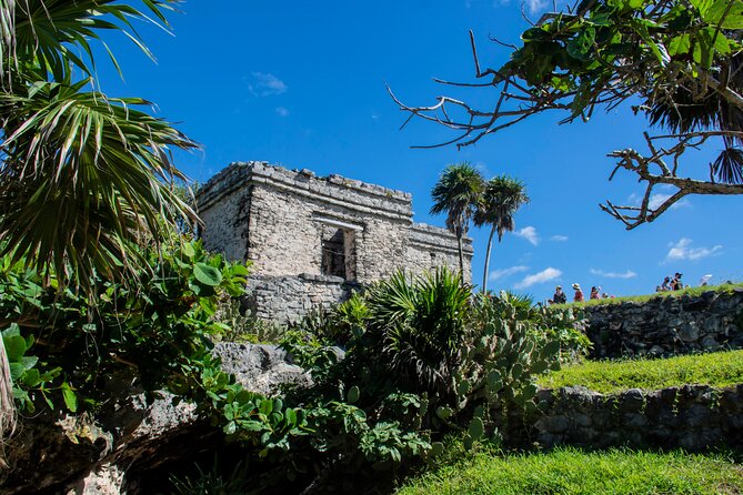 Turtle Swim & Tulum Ruins! With Cenote from Playa del Carmen - Cenote Nohoch offers the cool-down