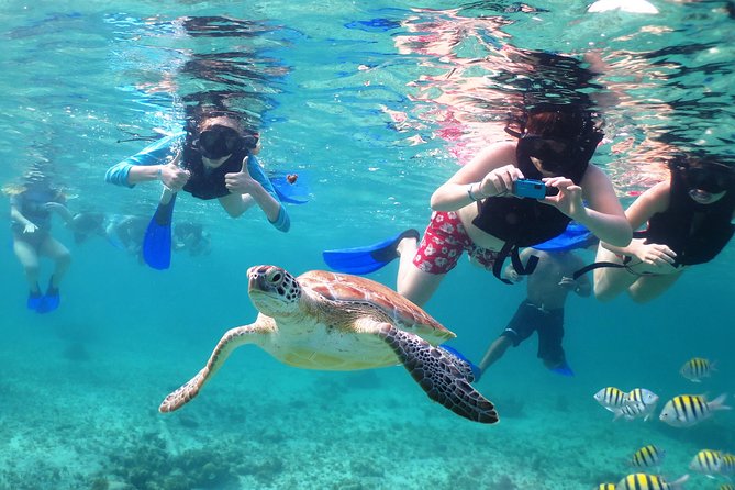 Turtles and Cenote snorkeling activity from Riviera Maya - A cenote with clear water and changing light
