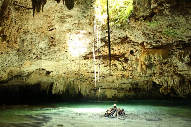 Turtles and Cenote snorkeling activity from Riviera Maya - What the guide and group size change