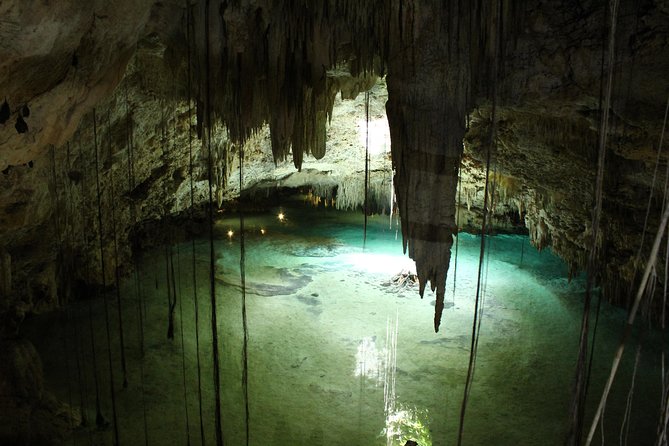 Turtles and Cenote snorkeling activity from Riviera Maya - Timing, comfort, and what to bring