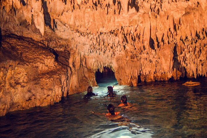 Turtles & Cenote! Half Day from Riviera Maya & Playa del Carmen - Who will get the most from this half-day