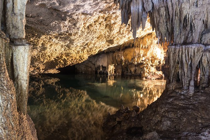 Turtles & Cenote! Half Day from Riviera Maya & Playa del Carmen - Cancellation and weather details