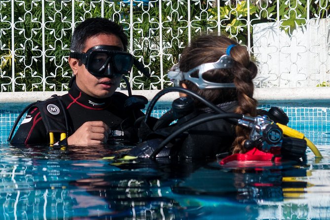 Two reef discovery dives with professional instructor (no experience necessary) - The 9:00 a.m. start at Tank-Ha Dive Center