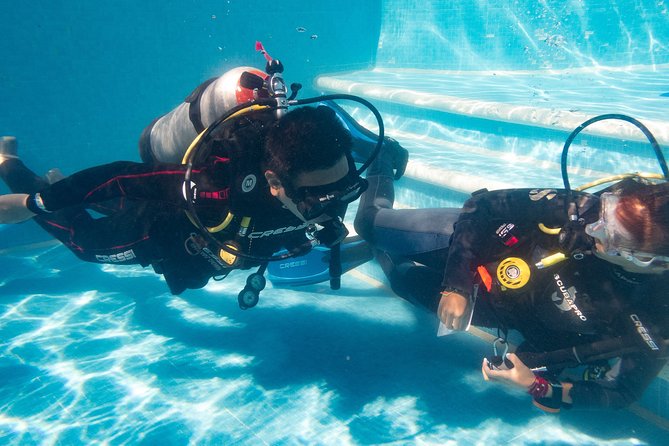 Two reef discovery dives with professional instructor (no experience necessary) - What the small group changes underwater