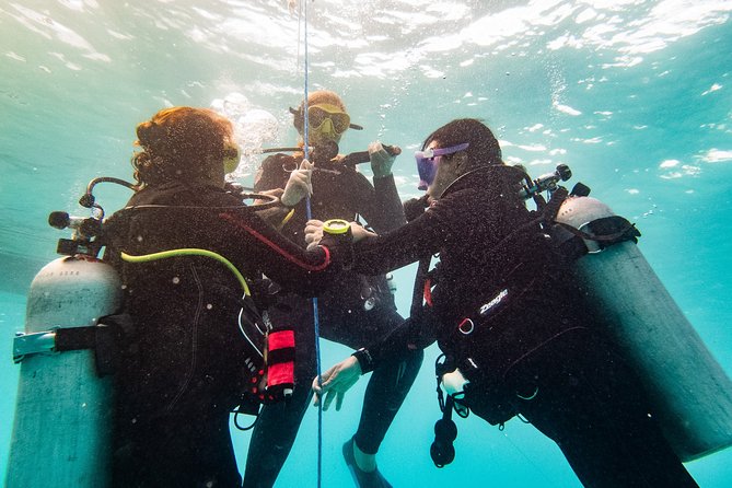 Two reef discovery dives with professional instructor (no experience necessary) - The online study and morning briefing